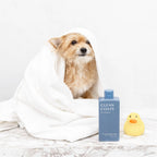 2-in-1 Dog Shampoo & Conditioner – Oatmeal Formula for Itchy, Smelly Dogs