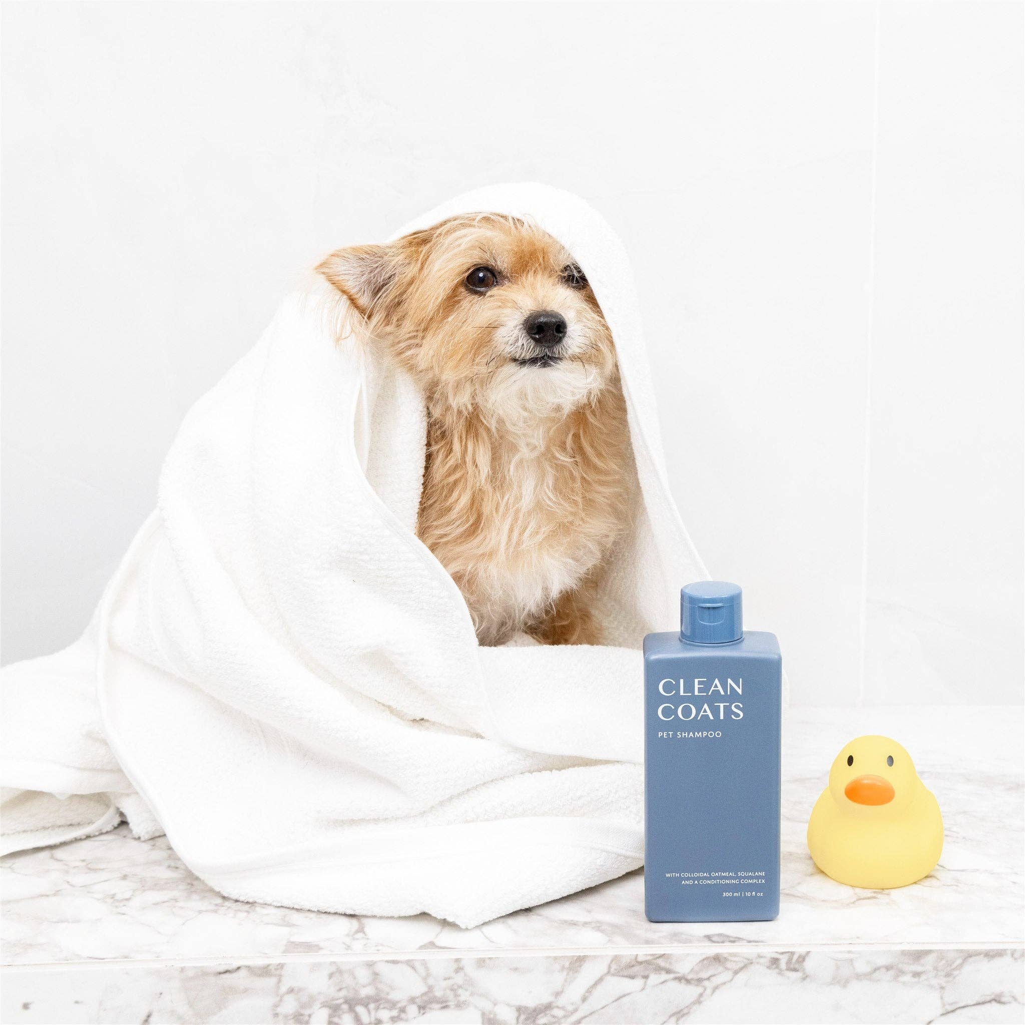 2-in-1 Dog Shampoo & Conditioner – Oatmeal Formula for Itchy, Smelly Dogs
