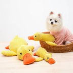 Duck Squeaky Plush Dog Toy - soft chew toy for small and medium dogs, front view