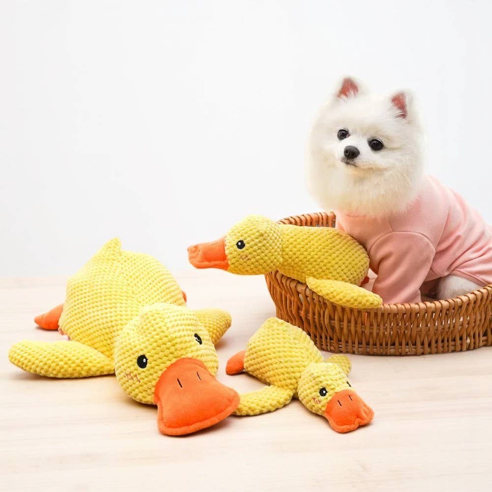 Duck Squeaky Plush Dog Toy - soft chew toy for small and medium dogs, front view