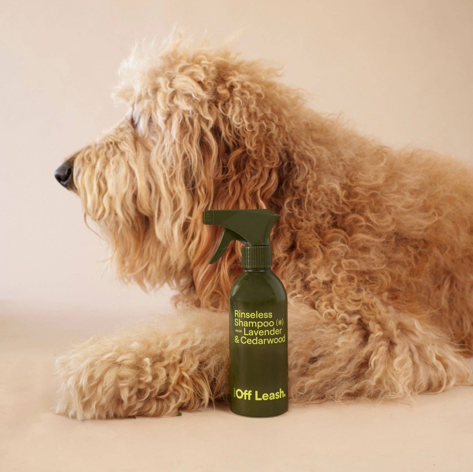 Rinseless Shampoo – Lavender & Cedarwood Waterless Dog Shampoo (9.97 fl oz)
