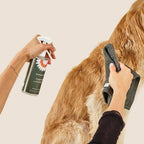 Using the Dandylion Paw Towel to wipe down a dog's coat alongside Fresh Coat Daily Cleansing Spray