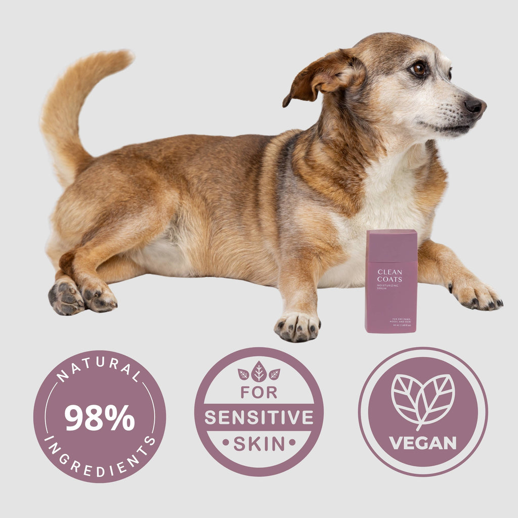 Dog Paw & Nose Moisturizing Serum – Fast-Absorbing Skin Care for Dry Paws