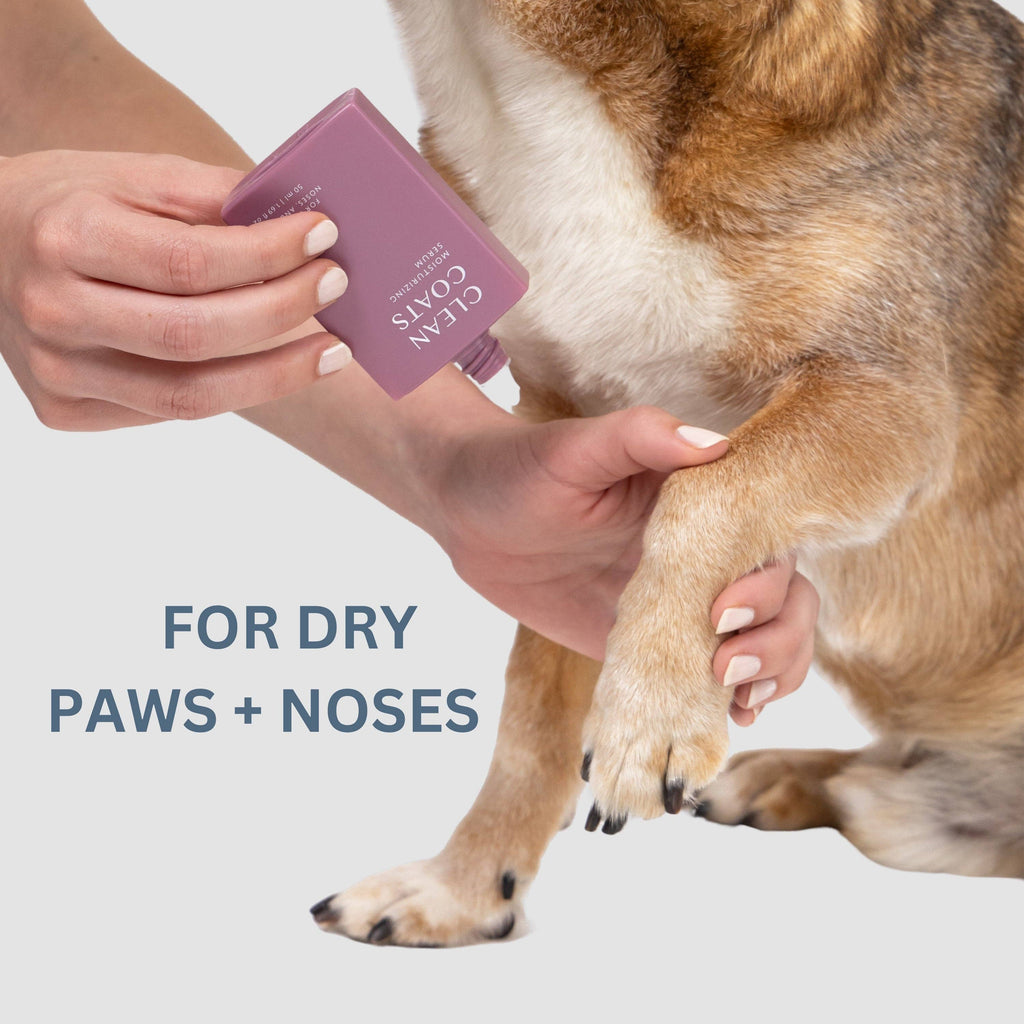 Dog Paw & Nose Moisturizing Serum – Fast-Absorbing Skin Care for Dry Paws