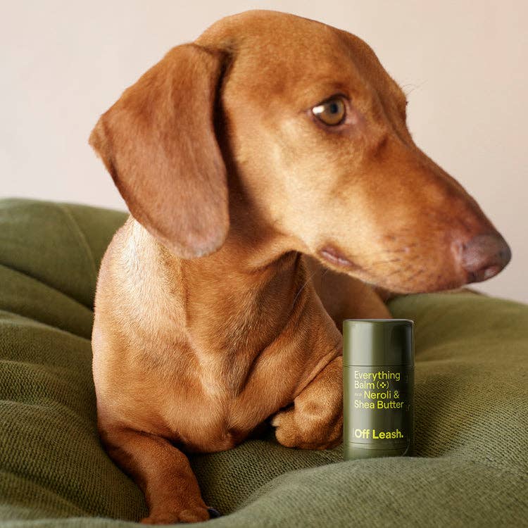 Everything Balm – All-Natural Dog Paw & Nose Moisturizer (1.58 oz)