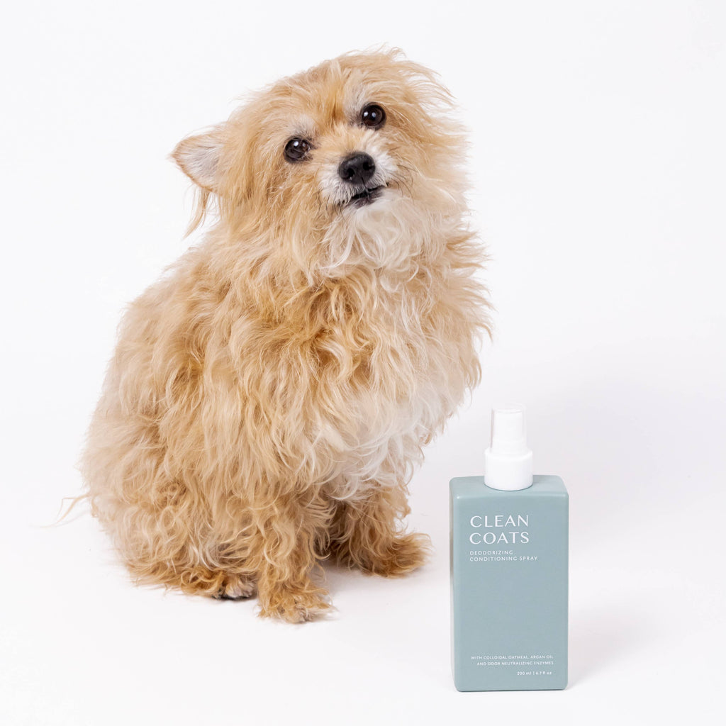 2-in-1 Dog Conditioning Spray & Deodorizer – Fragrance-Free Odor Eliminator