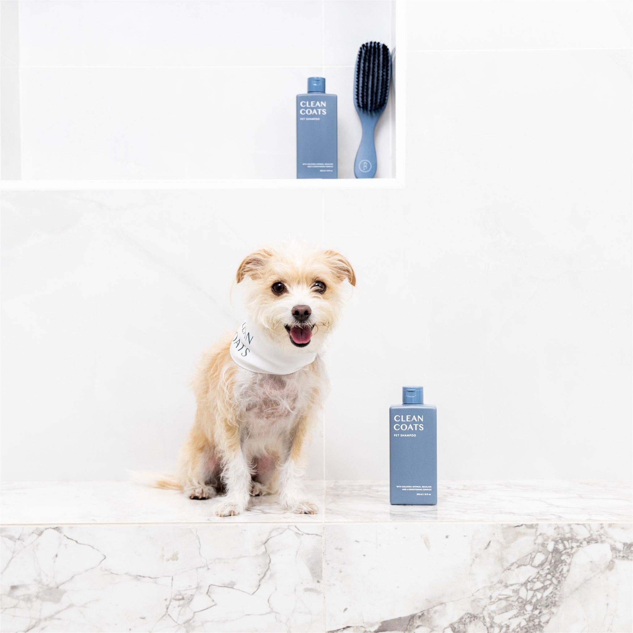 2-in-1 Dog Shampoo & Conditioner – Oatmeal Formula for Itchy, Smelly Dogs