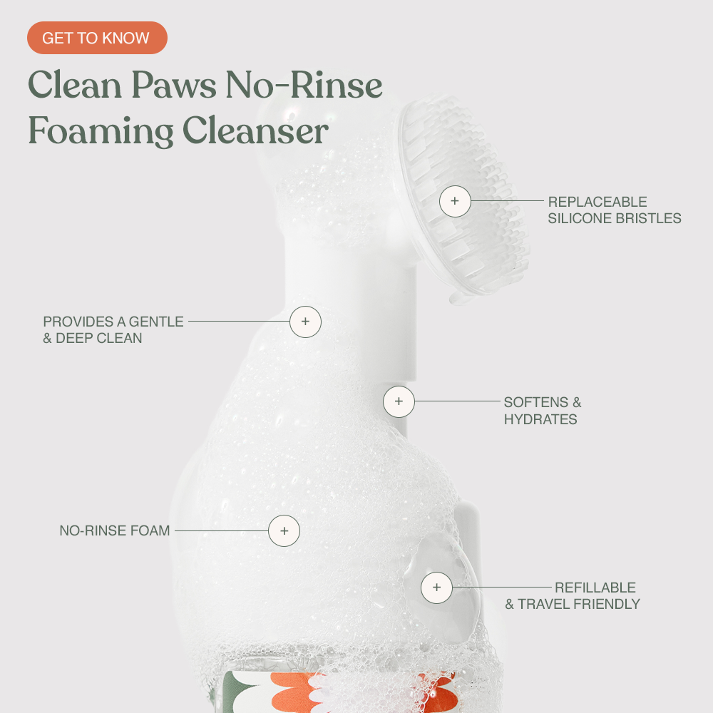 Clean Paws No-Rinse Foaming Cleanser benefits - replaceable silicone bristles, gentle deep clean, refillable