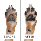 Dog Paw & Nose Moisturizing Serum – Fast-Absorbing Skin Care for Dry Paws