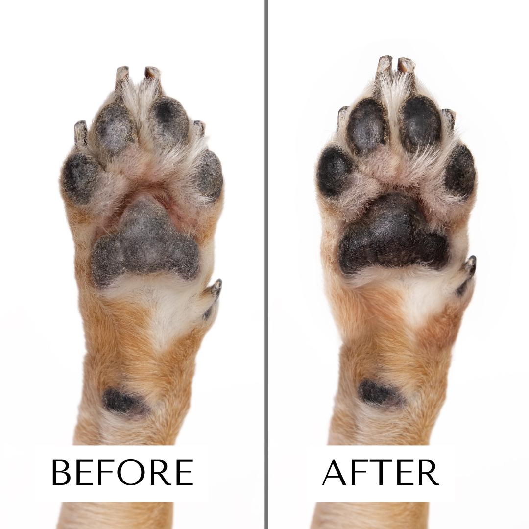 Dog Paw & Nose Moisturizing Serum – Fast-Absorbing Skin Care for Dry Paws