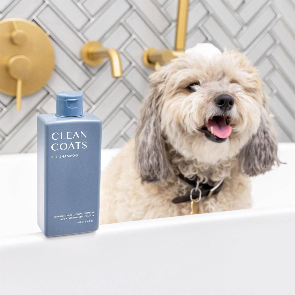 2-in-1 Dog Shampoo & Conditioner – Oatmeal Formula for Itchy, Smelly Dogs
