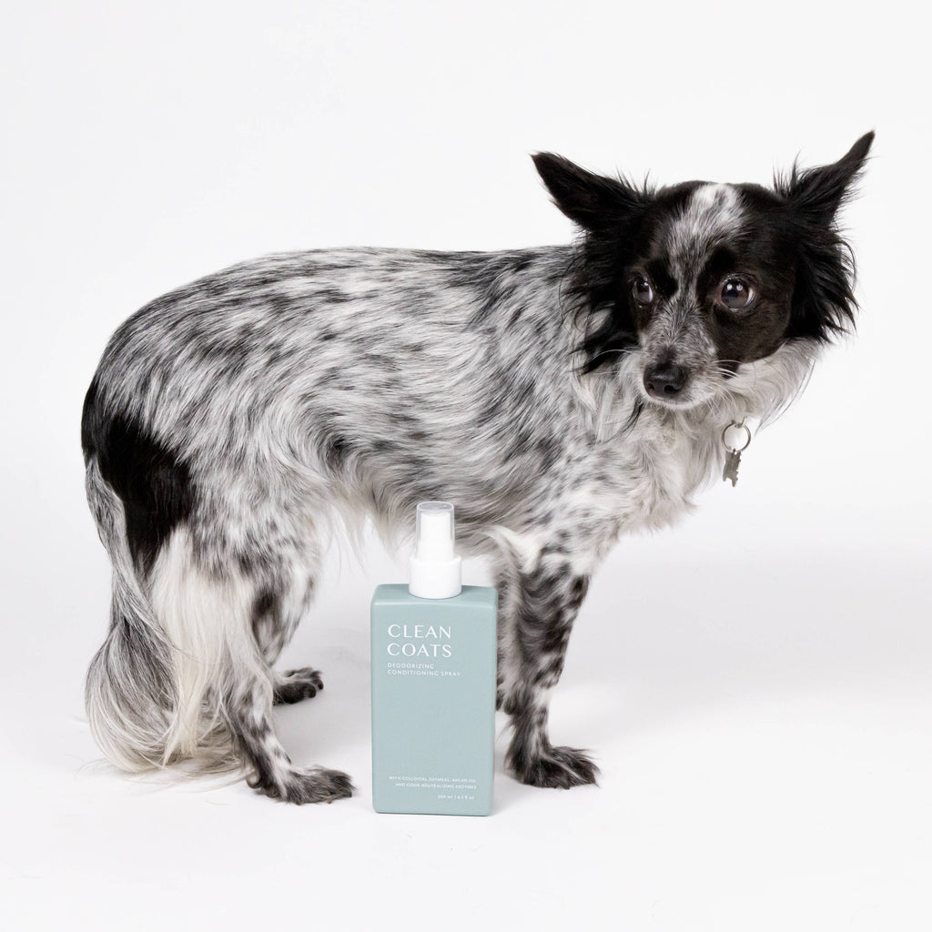 2-in-1 Dog Conditioning Spray & Deodorizer – Fragrance-Free Odor Eliminator