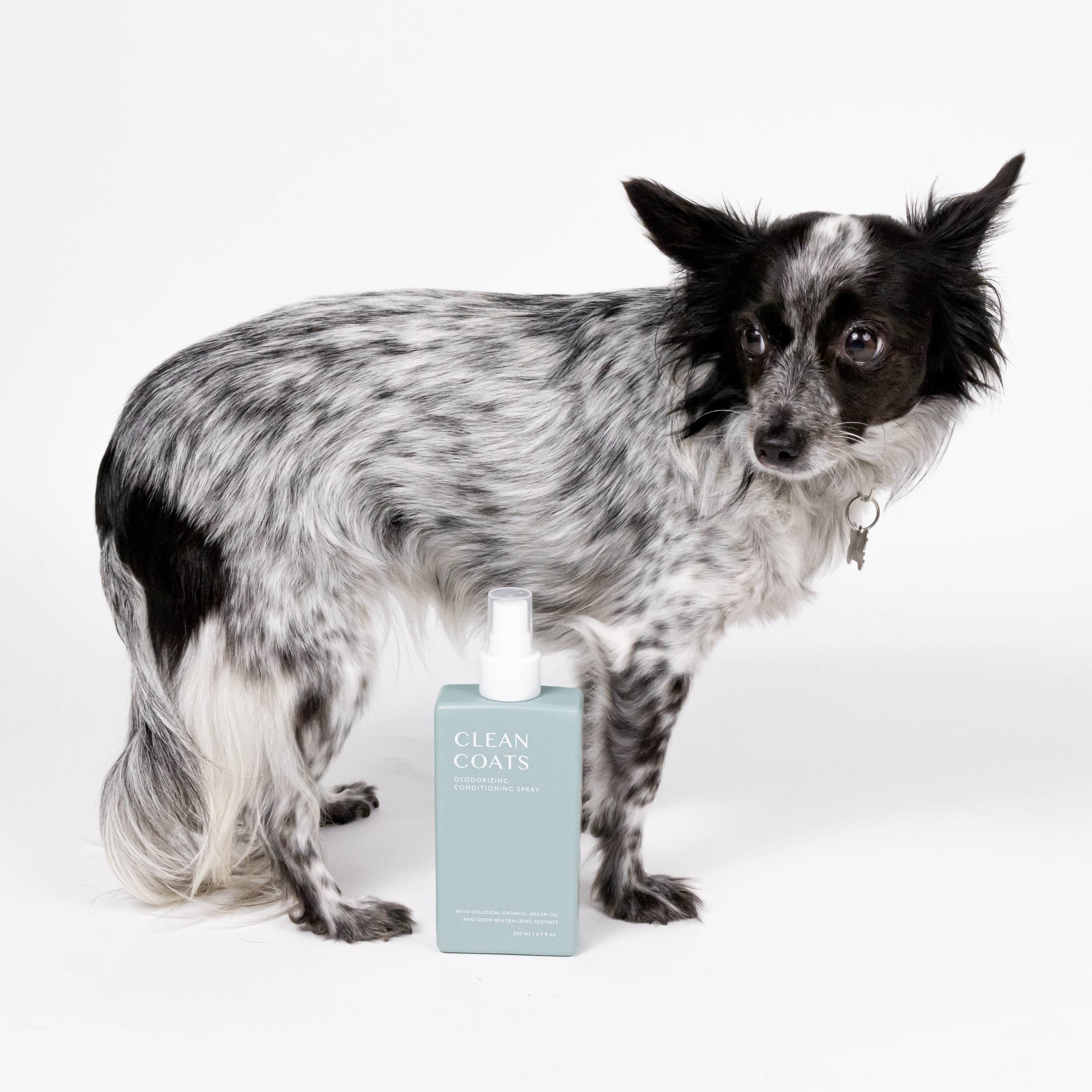 2-in-1 Dog Conditioning Spray & Deodorizer – Fragrance-Free Odor Eliminator
