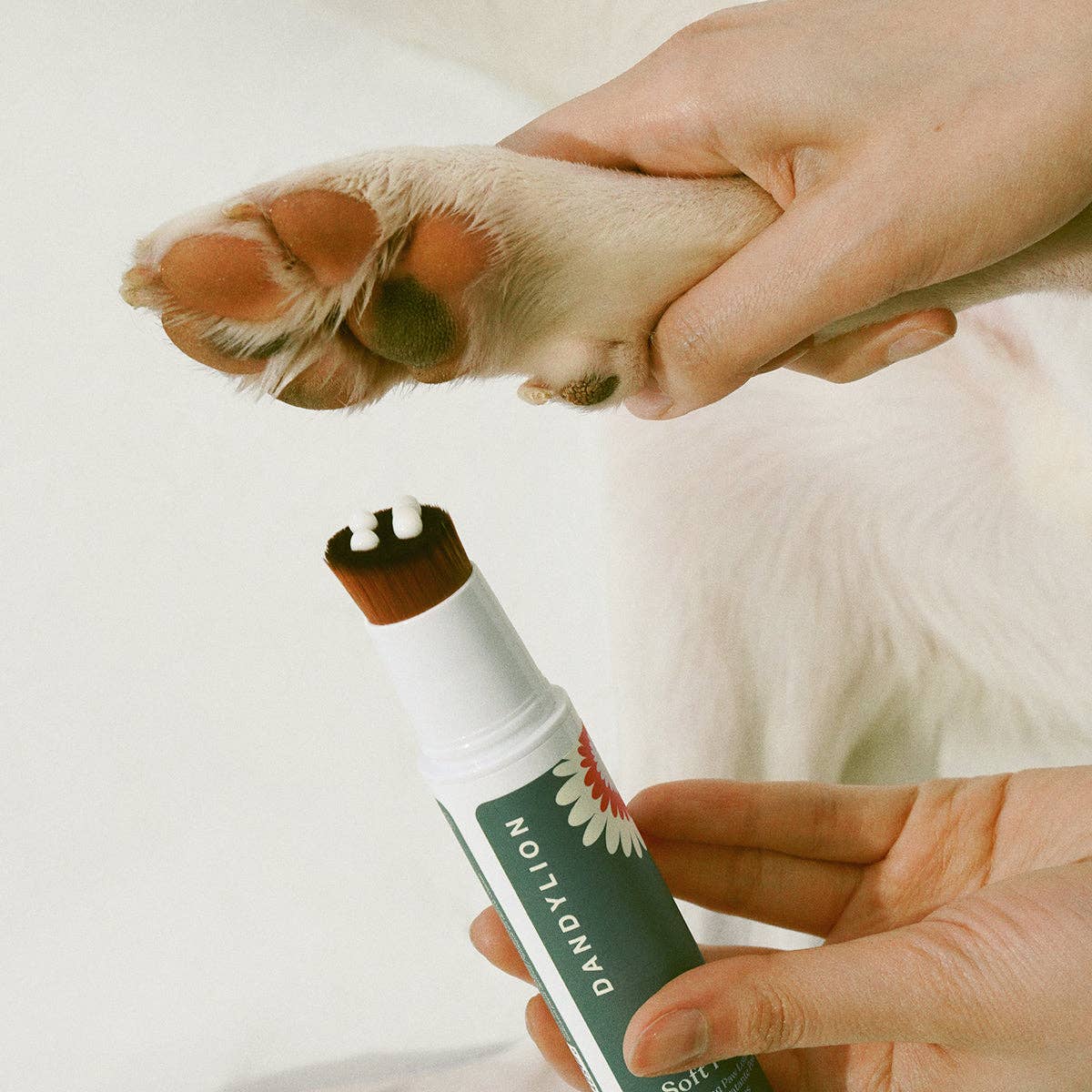 Applying Soft Paws Hydrating Paw Lotion to a dog's paw with the brush applicator