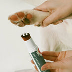 Applying Soft Paws Hydrating Paw Lotion to a dog's paw with the brush applicator